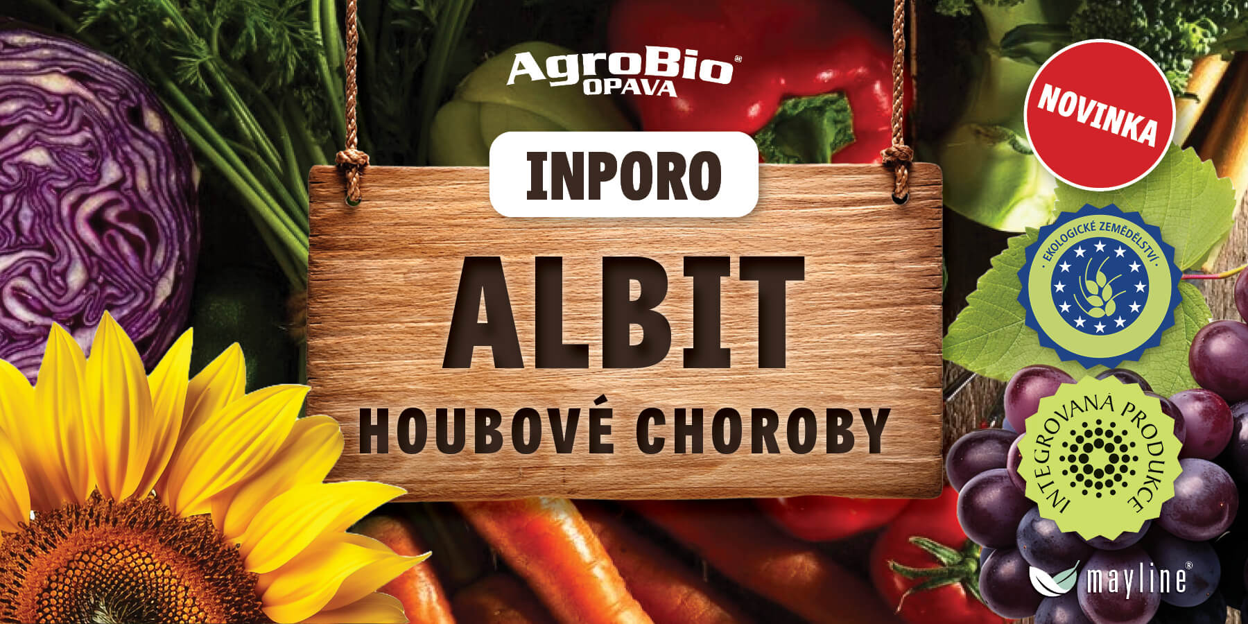 INPORO ALBIT HOUBOVÉ CHOROBY